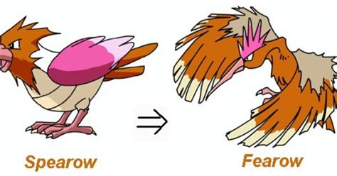 dragonite pokémon evolution|spearow evolution chart.